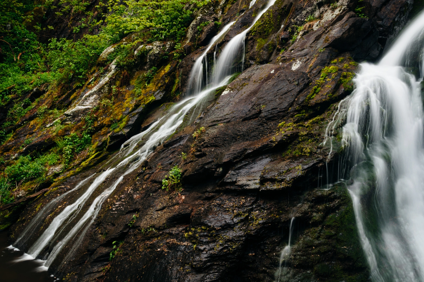 An image depicting the trail South River Falls and South River Fire Road Loop Trail and its surrounding area.