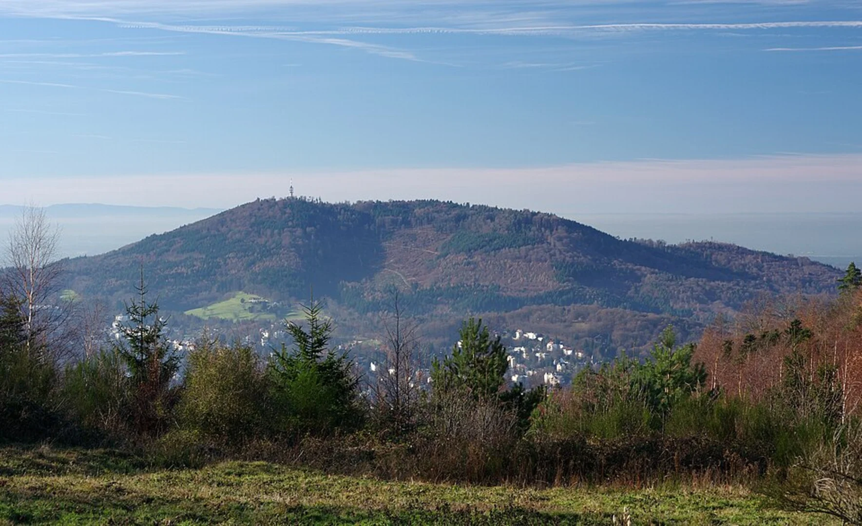 An image depicting the trail Fremersberg Loop and its surrounding area.