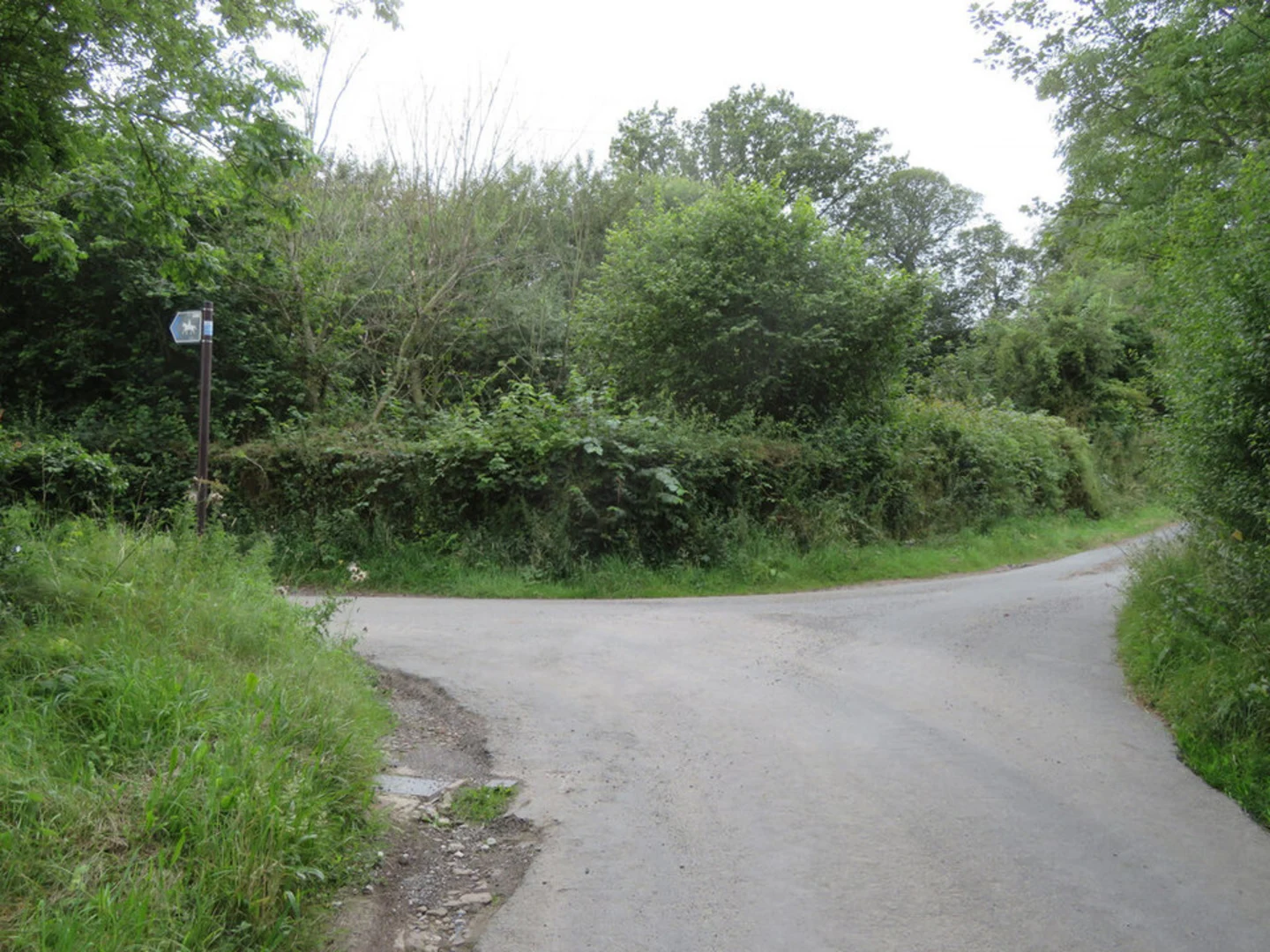 An image depicting the trail Waun-y-llyn Country Park Loop and its surrounding area.