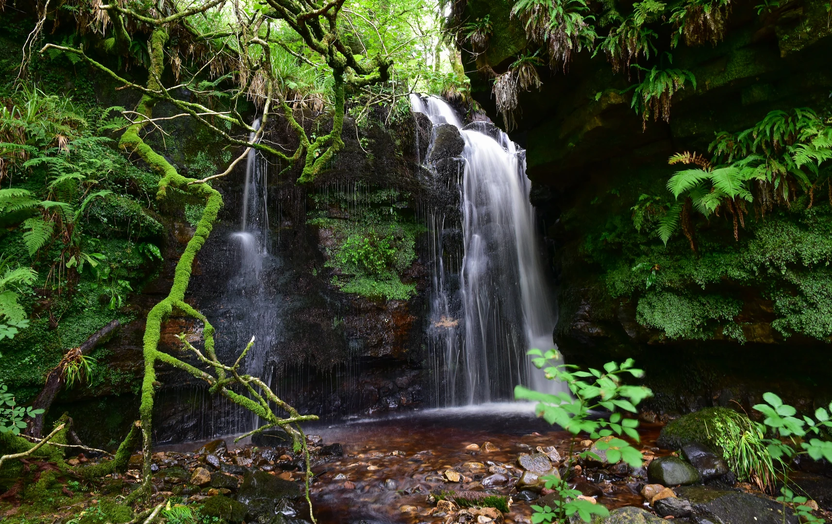 An image depicting the trail Glenashdale Falls and Giant Graves and Ashdale Bridge Loop and its surrounding area.