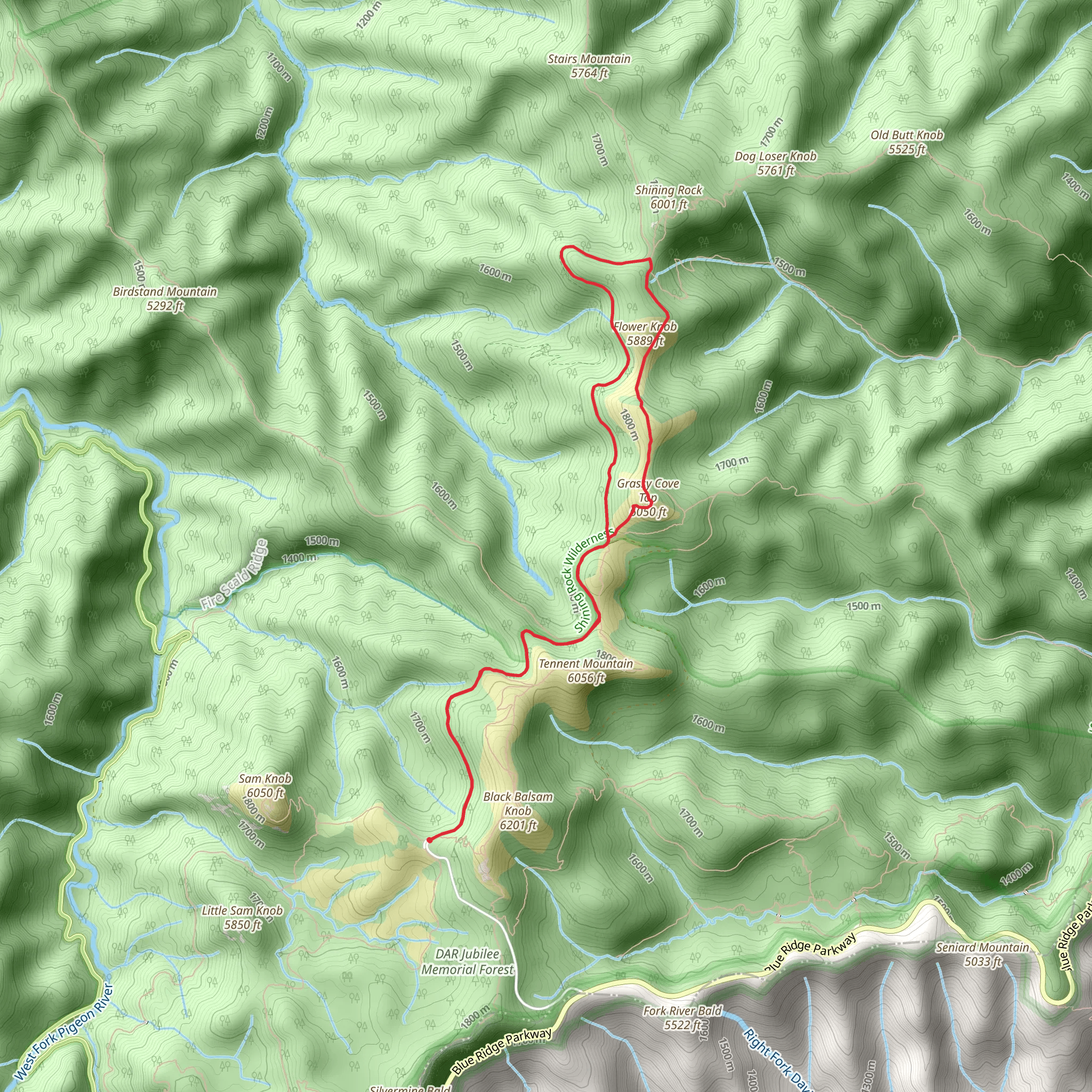 Greasy Cove Top and Flower Knob Loop via Ivestor Gap Trail mobile static map