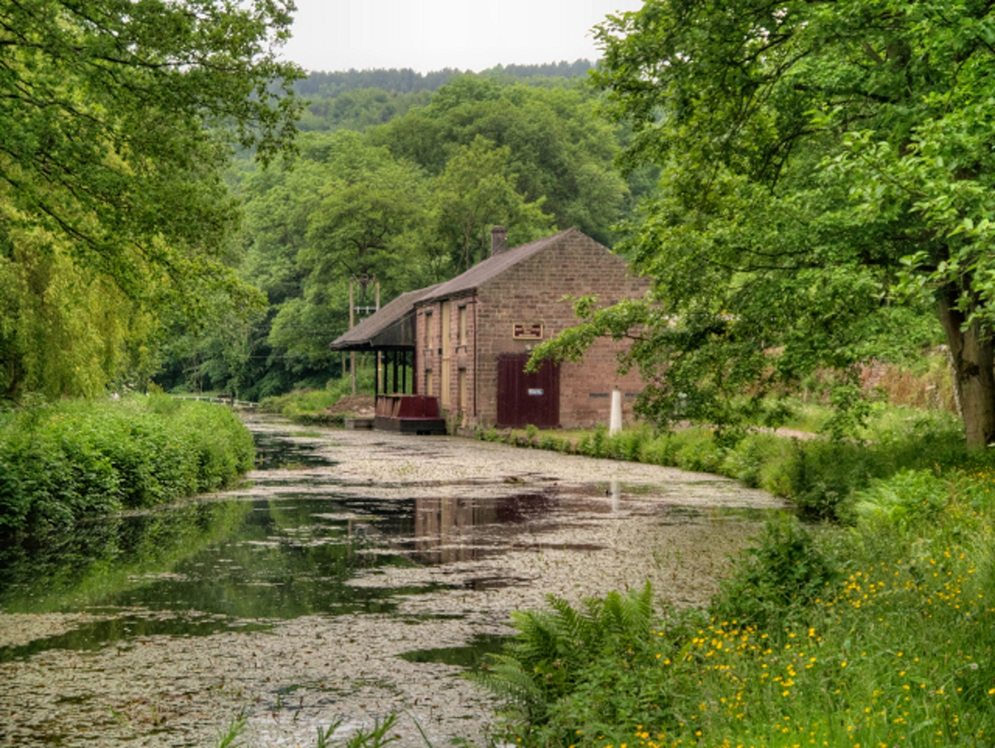 An image depicting the trail Black Rocks and Cromford Canal Loop and its surrounding area.