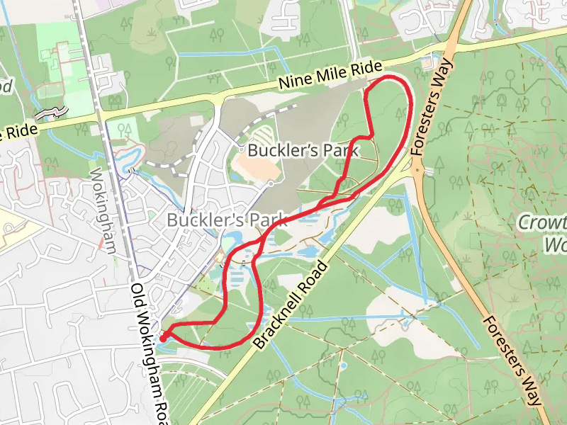 Buckler's Forest Loop