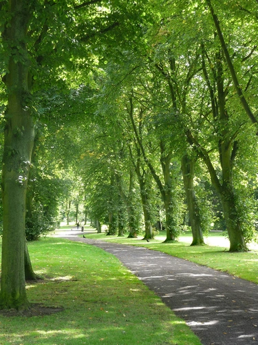 Birkenhead Park Loop