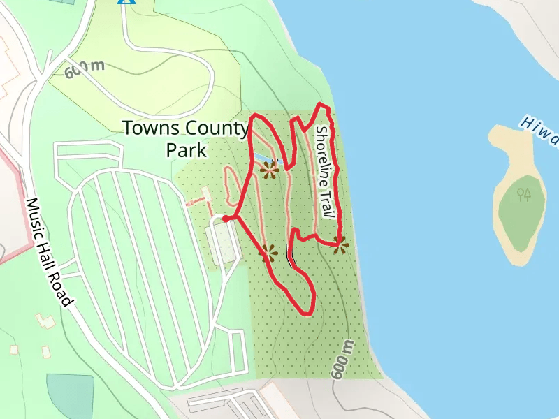 Hamilton Gardens Loop