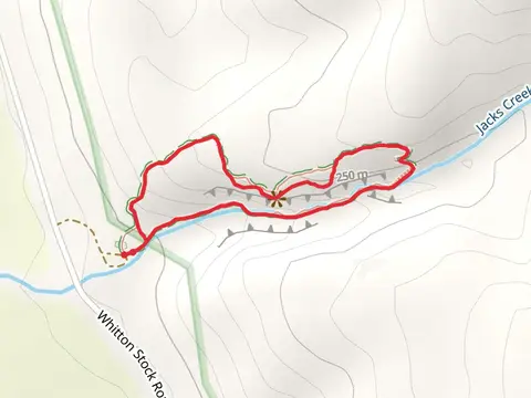 Jacks Creek Track