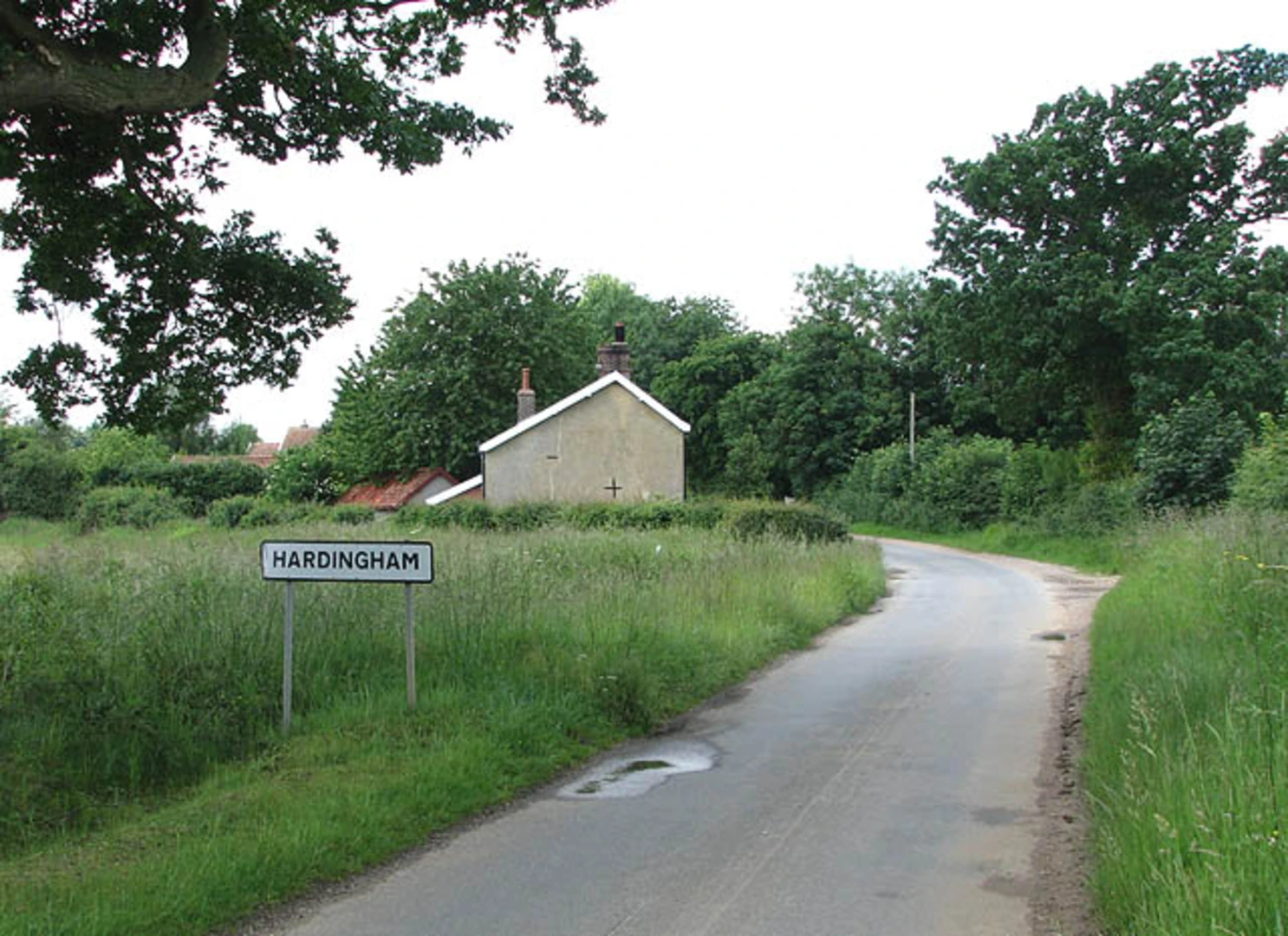 An image depicting the trail Hingham Loop and its surrounding area.