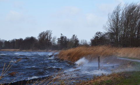 Broekvelden, Reeuwijksche Plassen and Vereenigde Polder Loop