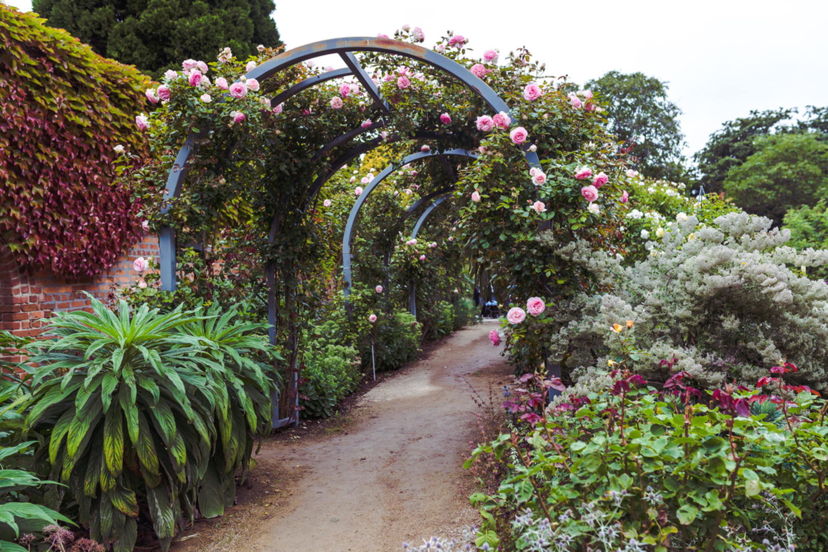 An image depicting the trail Royal Tasmanian Botanical Gardens Loop Trail and its surrounding area.