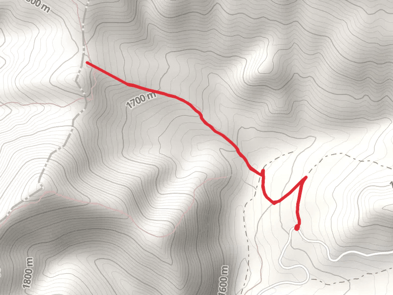 Magpie Gulch Trail