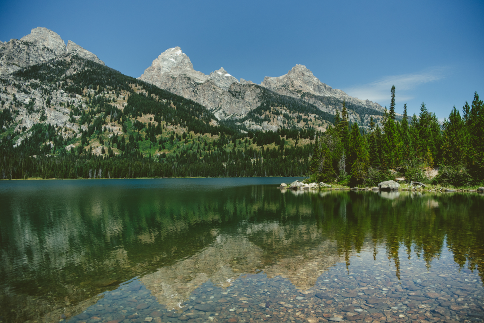 An image depicting the trail Lake Creek - Woodland Loop Trail and its surrounding area.