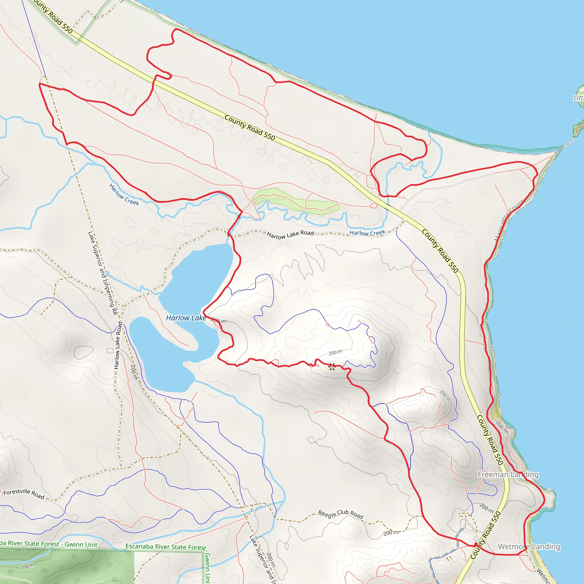 Bareback, Red Pine and Shoreline Loop Trail mobile static map