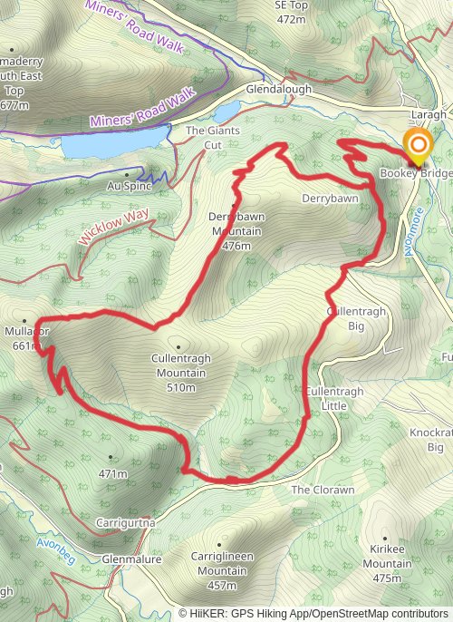 A map preview of the recording County Wicklow Hiking.