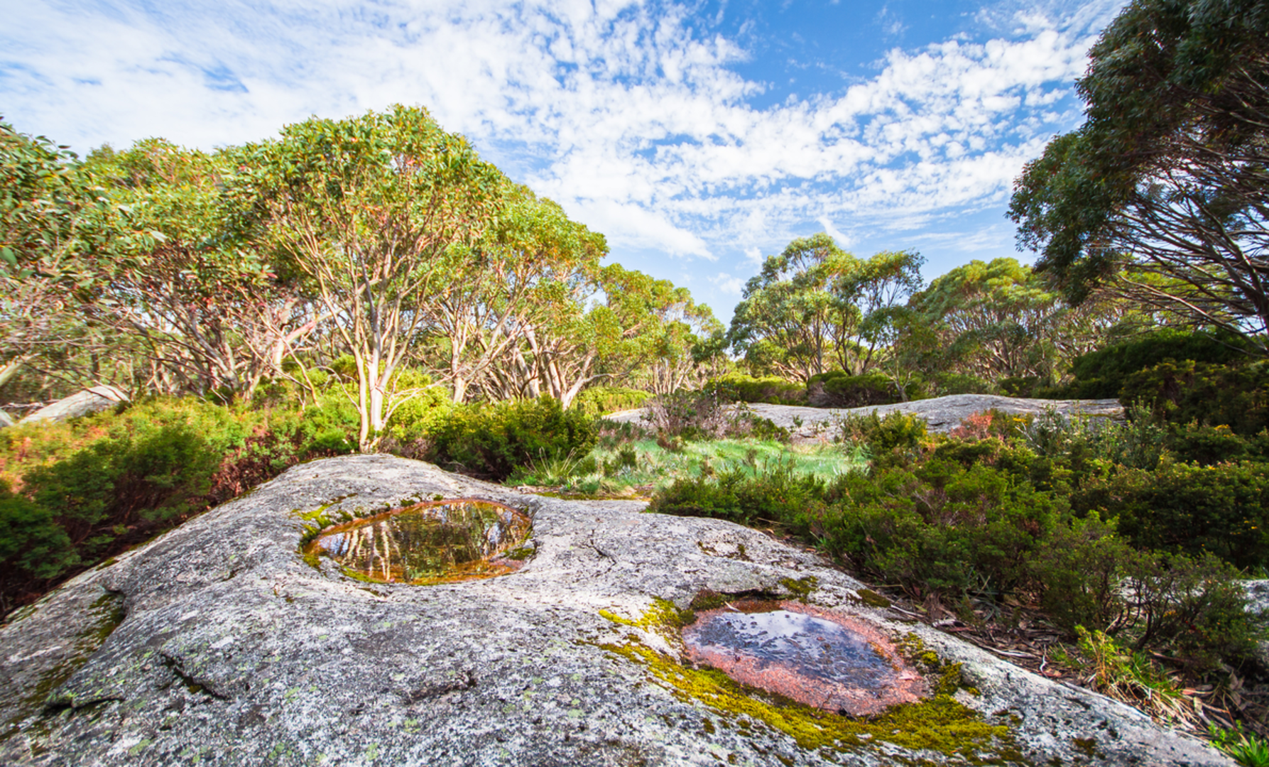 An image depicting the trail Mount Saint Gwinear Trail and its surrounding area.