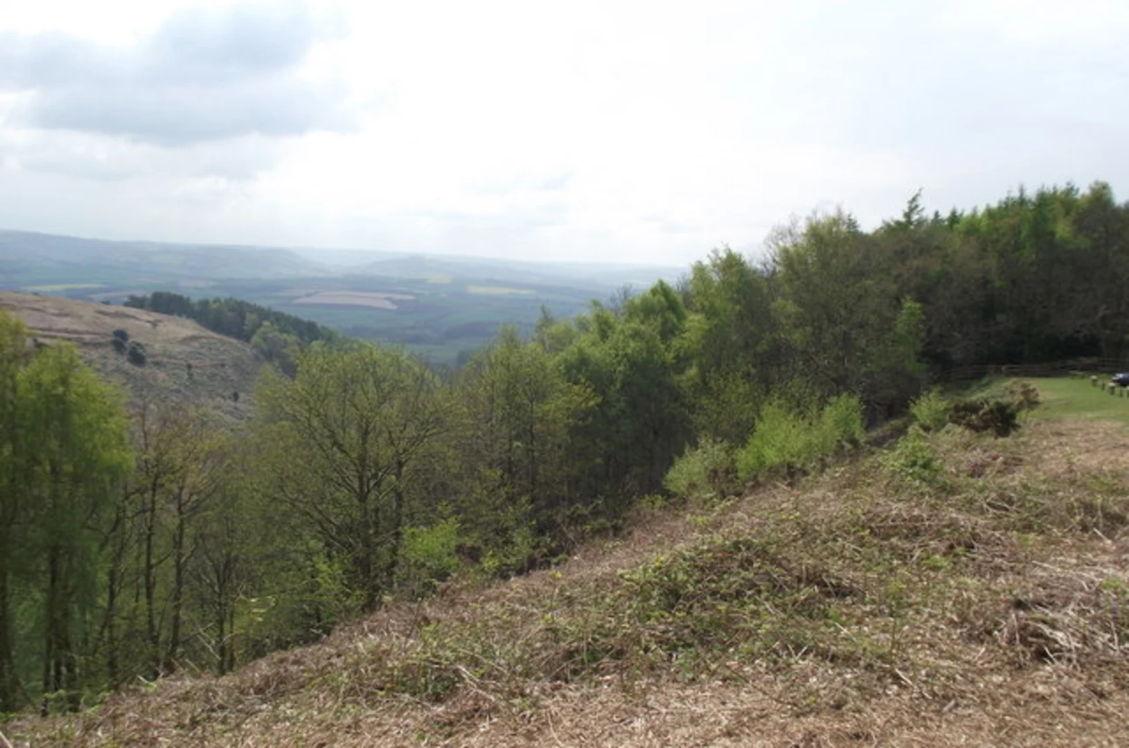 An image depicting the trail Weacombe Hill, Bicknoller Post, Longstone Hill and Butterfly Wood Loop and its surrounding area.