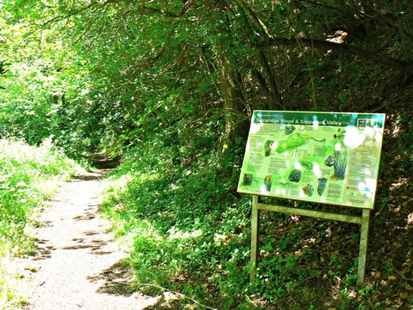 An image depicting the trail Siccaridge Wood via Wysis Way and T and S Way and its surrounding area.