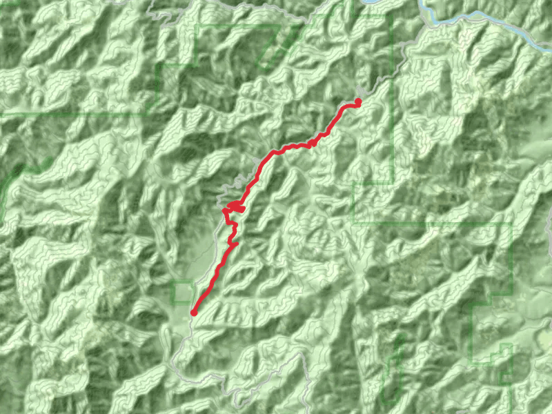 Taylor Creek Trail