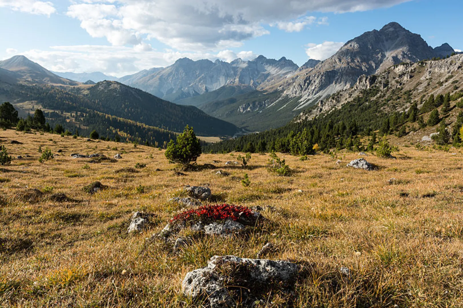 An image depicting the trail S-charl to Ofenpass Trail and its surrounding area.