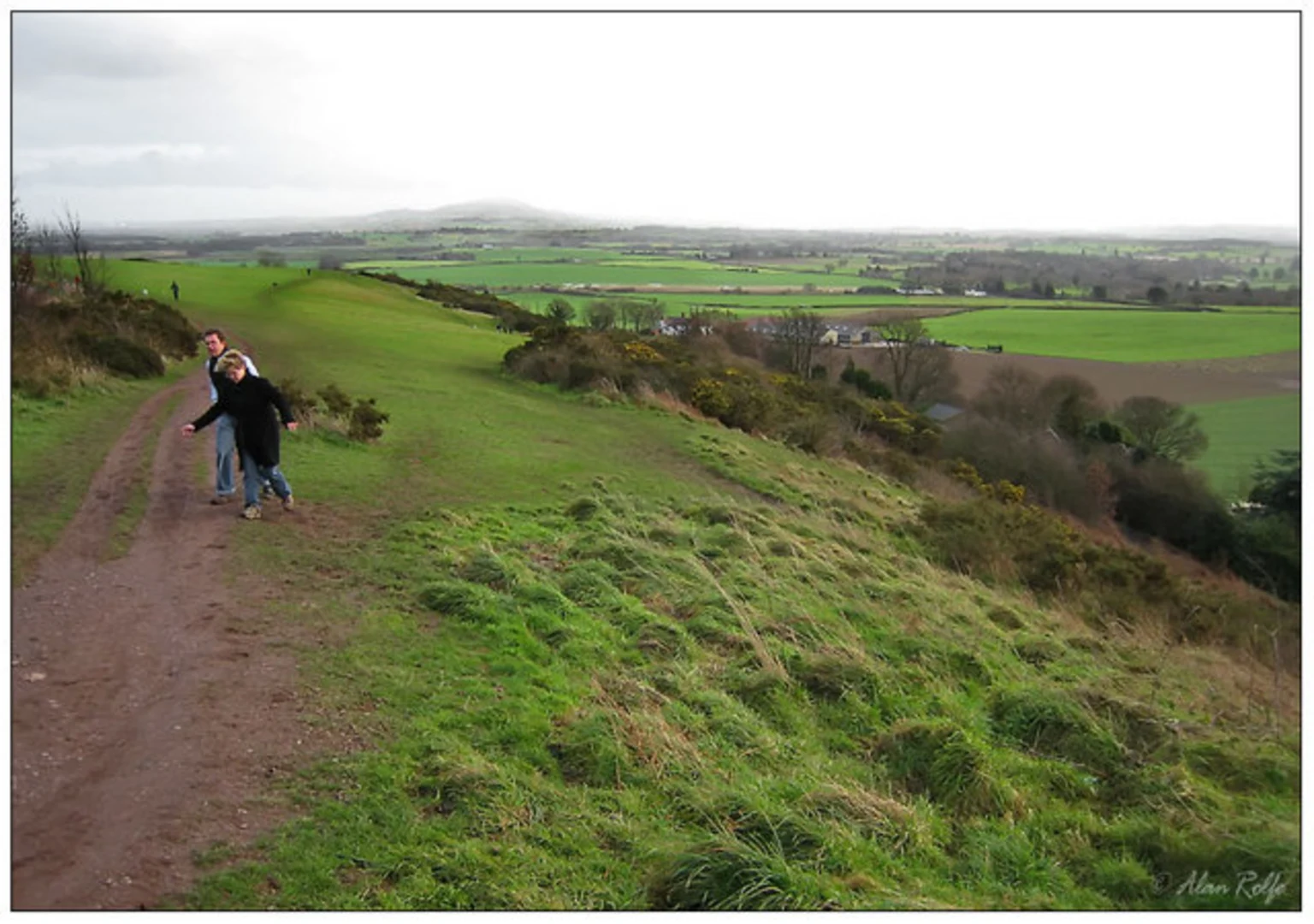 An image depicting the trail Spring Coppice and Lyth Hill Country Park and its surrounding area.