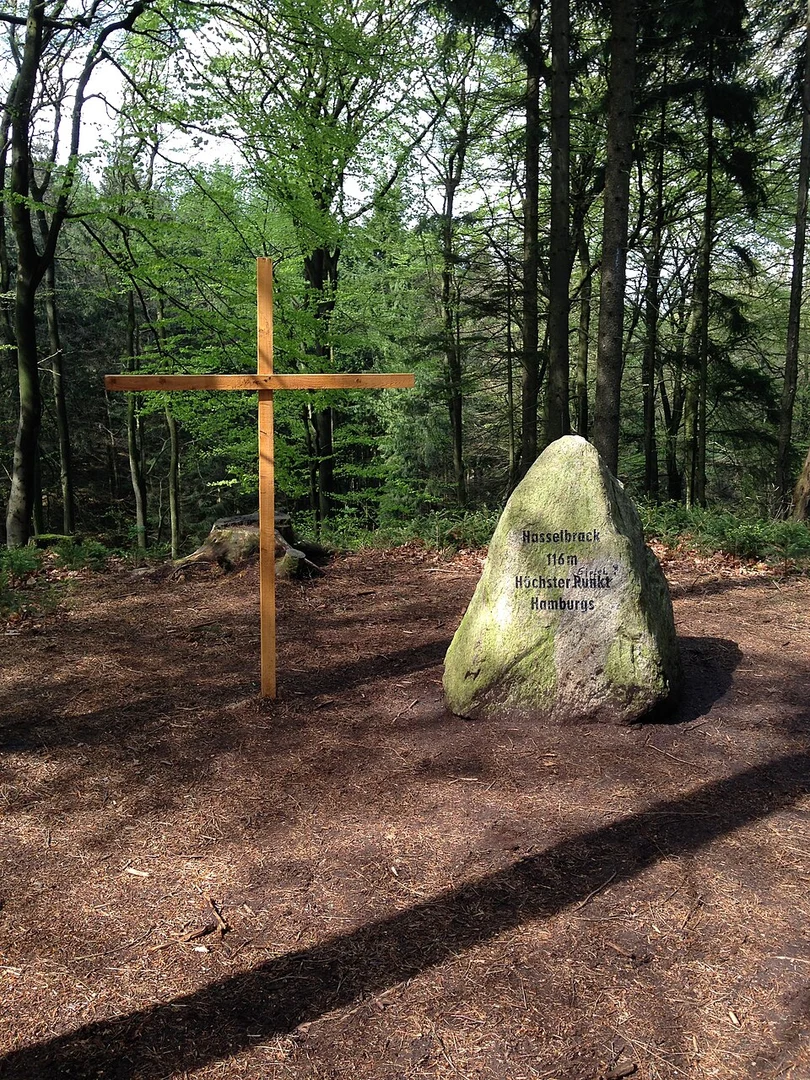 An image depicting the trail Hasselbrack via Wander Tour Schwarze Berge and its surrounding area.