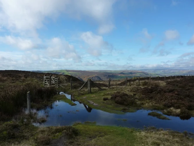 Padley Gorge and Longshaw Estate Loop from Grindleford