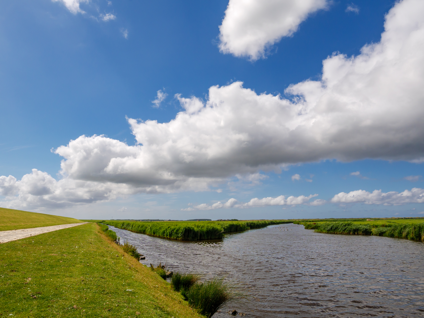 An image depicting the trail Fort Hinderdam, De Nes and Gein via Gooilandse Weg and its surrounding area.