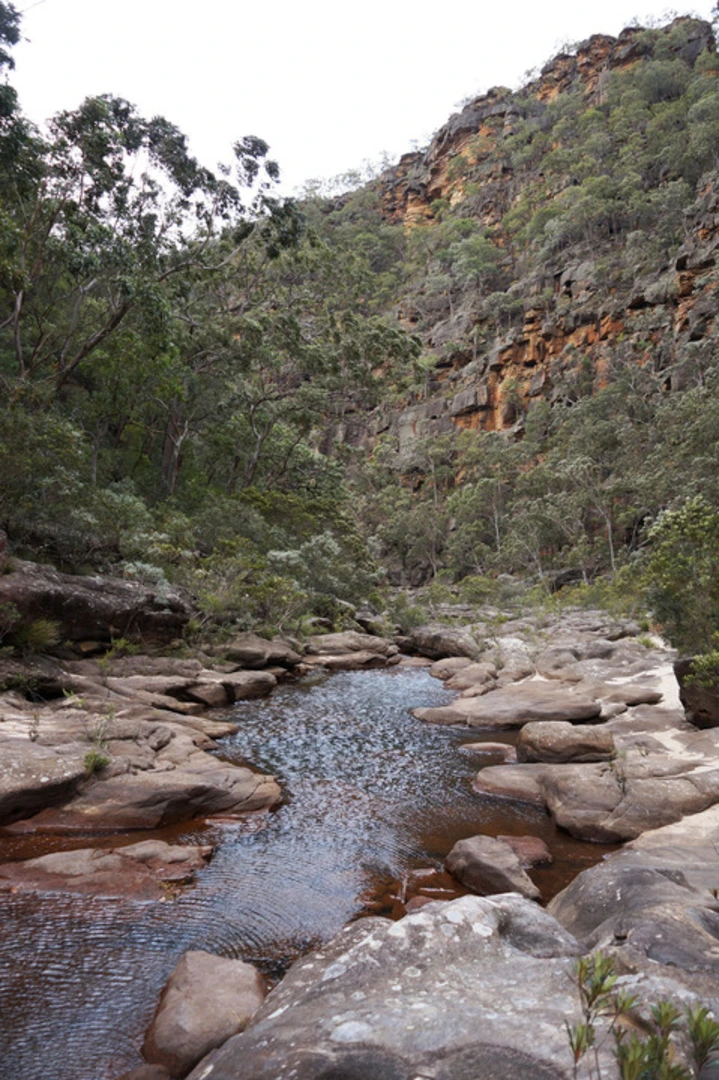 An image depicting the trail Glenbrook Gorge Track and its surrounding area.