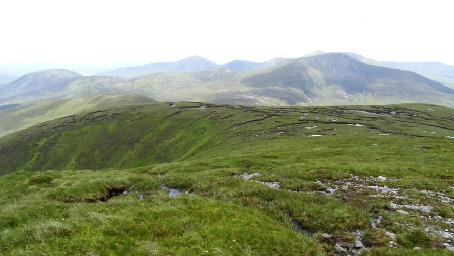 Corslieve and Tawnyanruddia Loop