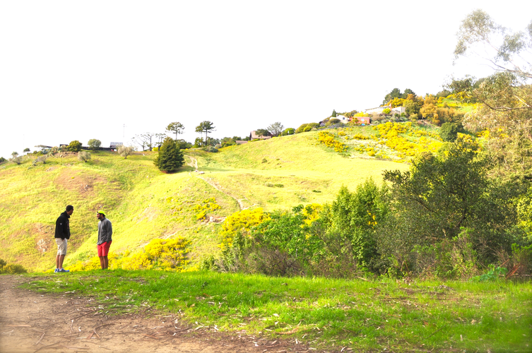 Stonewall-Panoramic Trail