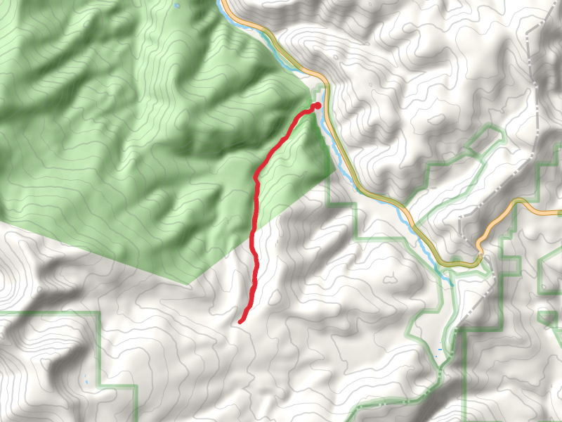 Rito Angostrua via Angostura Trail