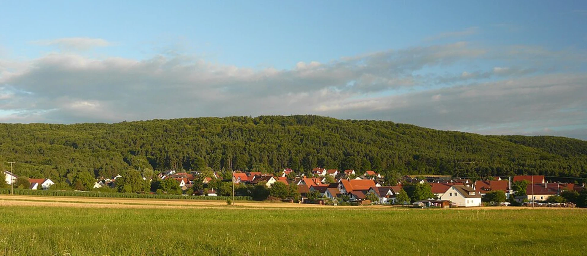 An image depicting the trail Weißenbrunn and Bergel Loop and its surrounding area.