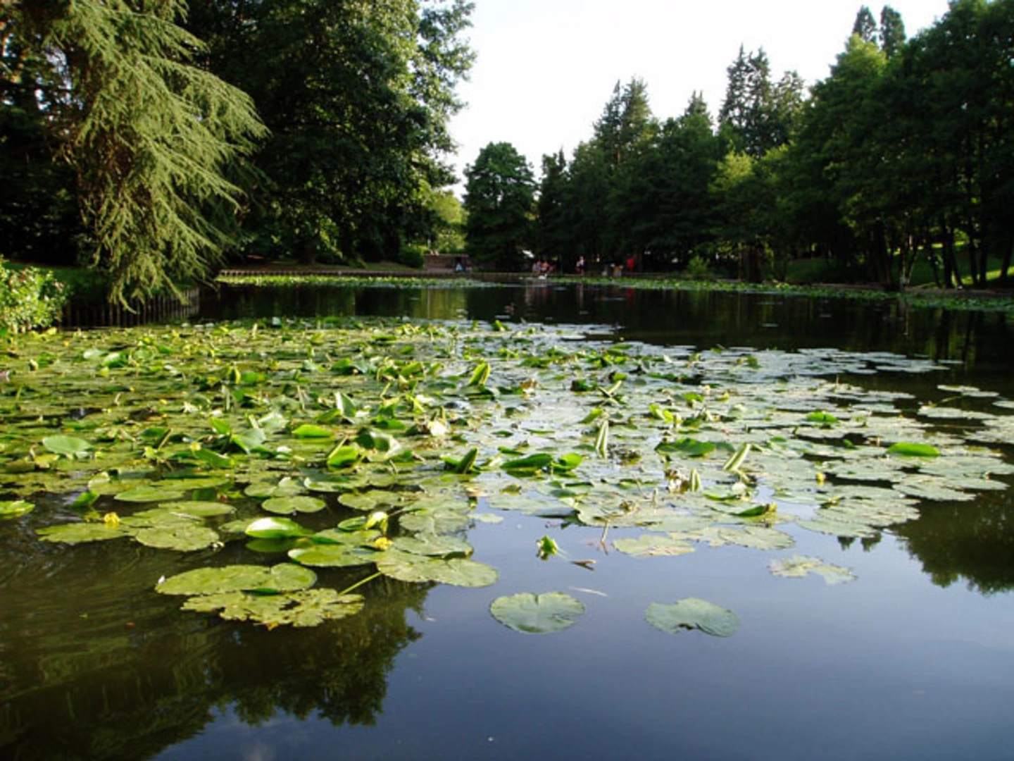 An image depicting the trail Circular via Canal and Stratford Park and its surrounding area.