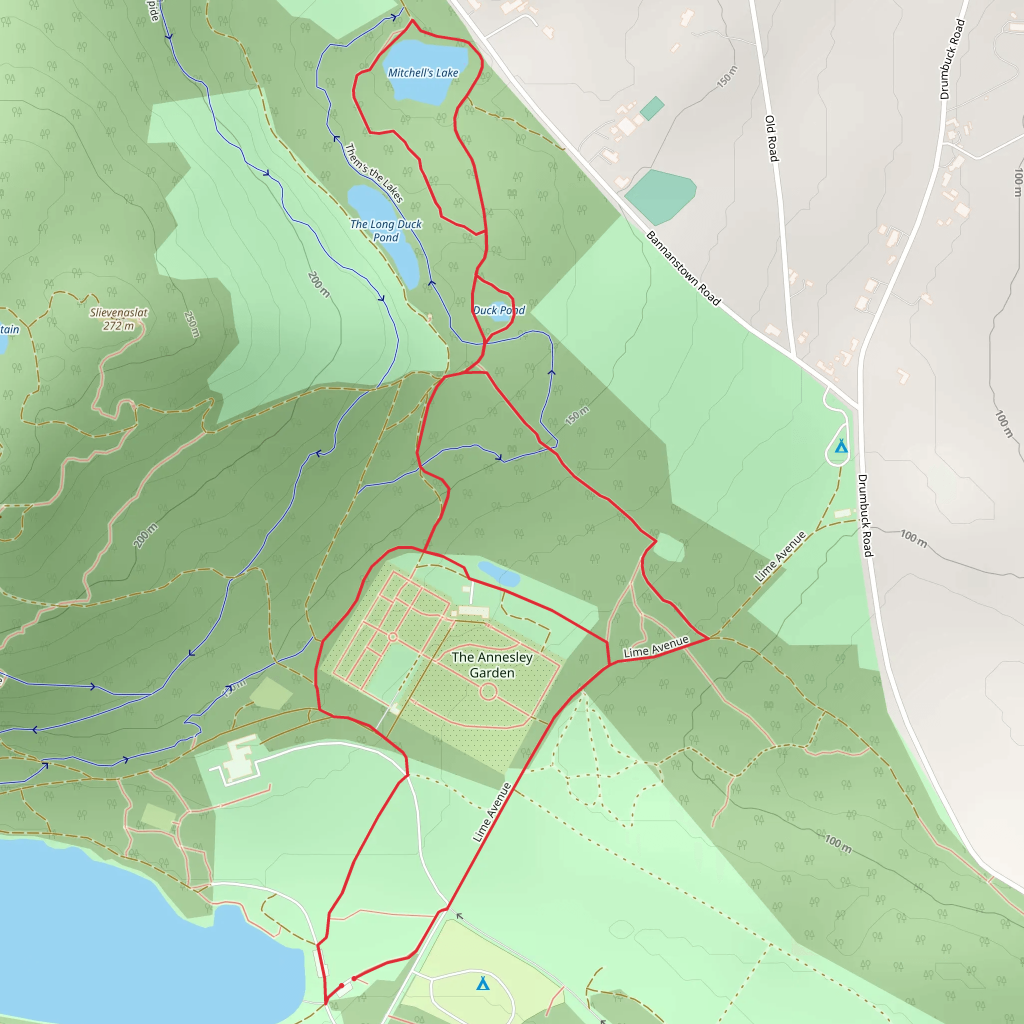 Castlewellan Forest Park - Annesley Garden Walk mobile static map