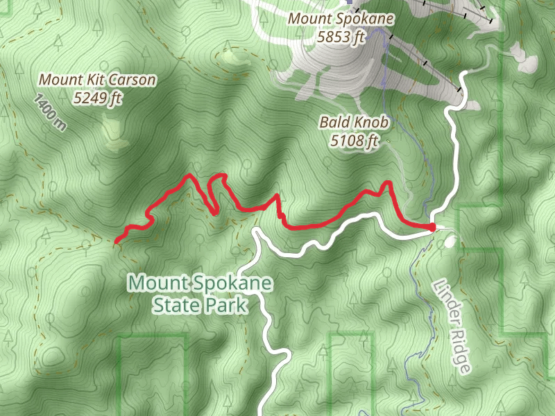 Trail 100