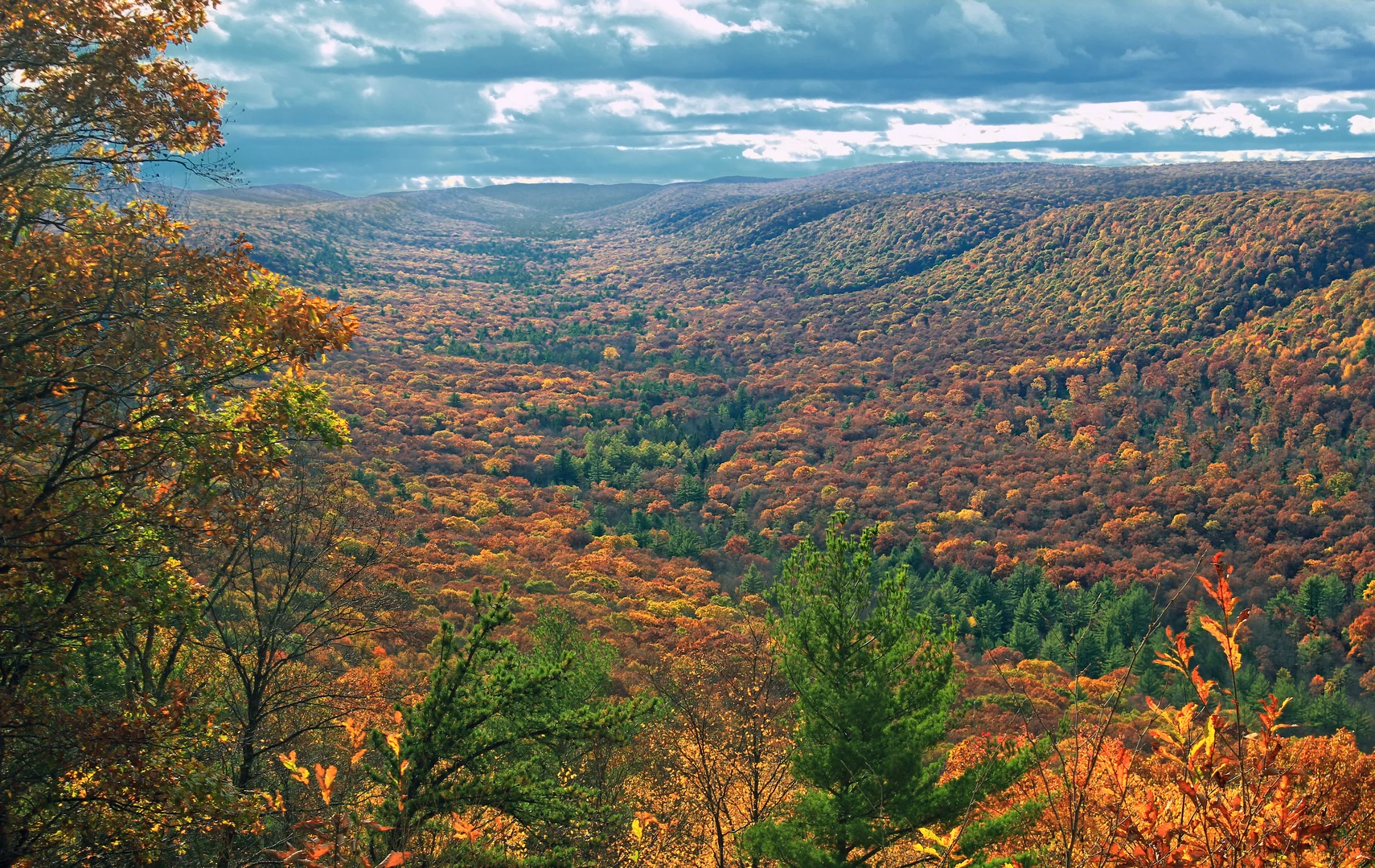An image depicting the trail Top Mountain Trail and its surrounding area.
