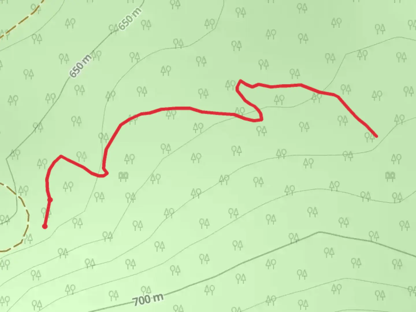 An image depicting the trail Tall Trees Trail and its surrounding area.