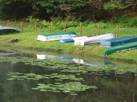 Locust Creek - Tuscarora Lake