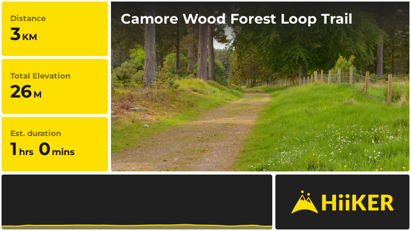 Camore Wood Forest Loop Trail | Highland | Scotland