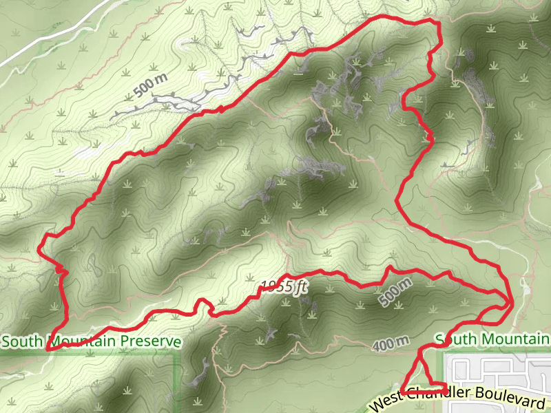 Bursera, National and Lost Ranch Mine Loop Trail