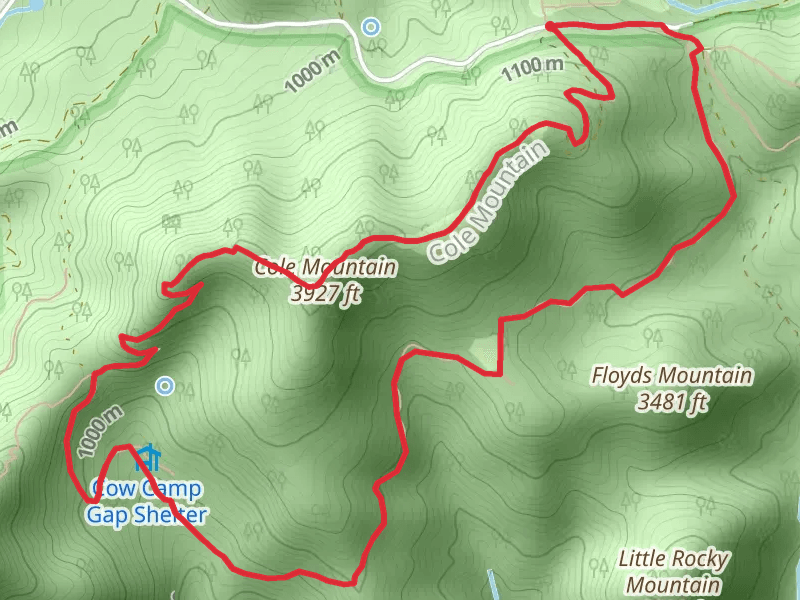 Cole Mountain, Cow Camp Gap and Hotel Loop Trail