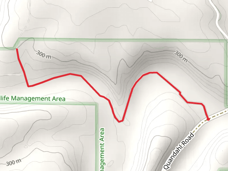 North Bear Creek from Quandahl Road