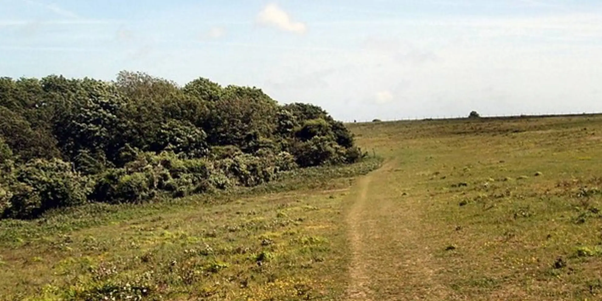 An image depicting the trail Lewes Rail to Ramble and its surrounding area.