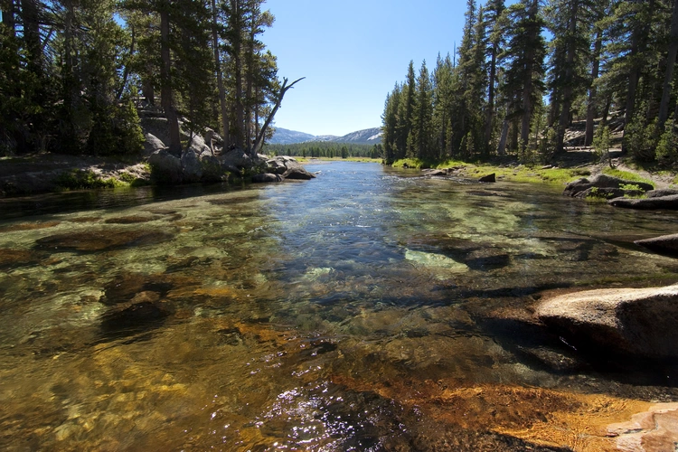 Walk along Middle Tuolumne River