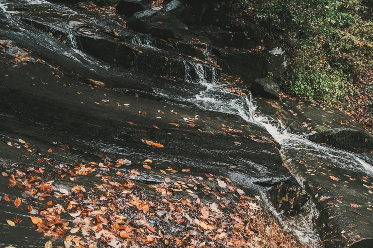 Indian Creek to Martin's Gap Trail