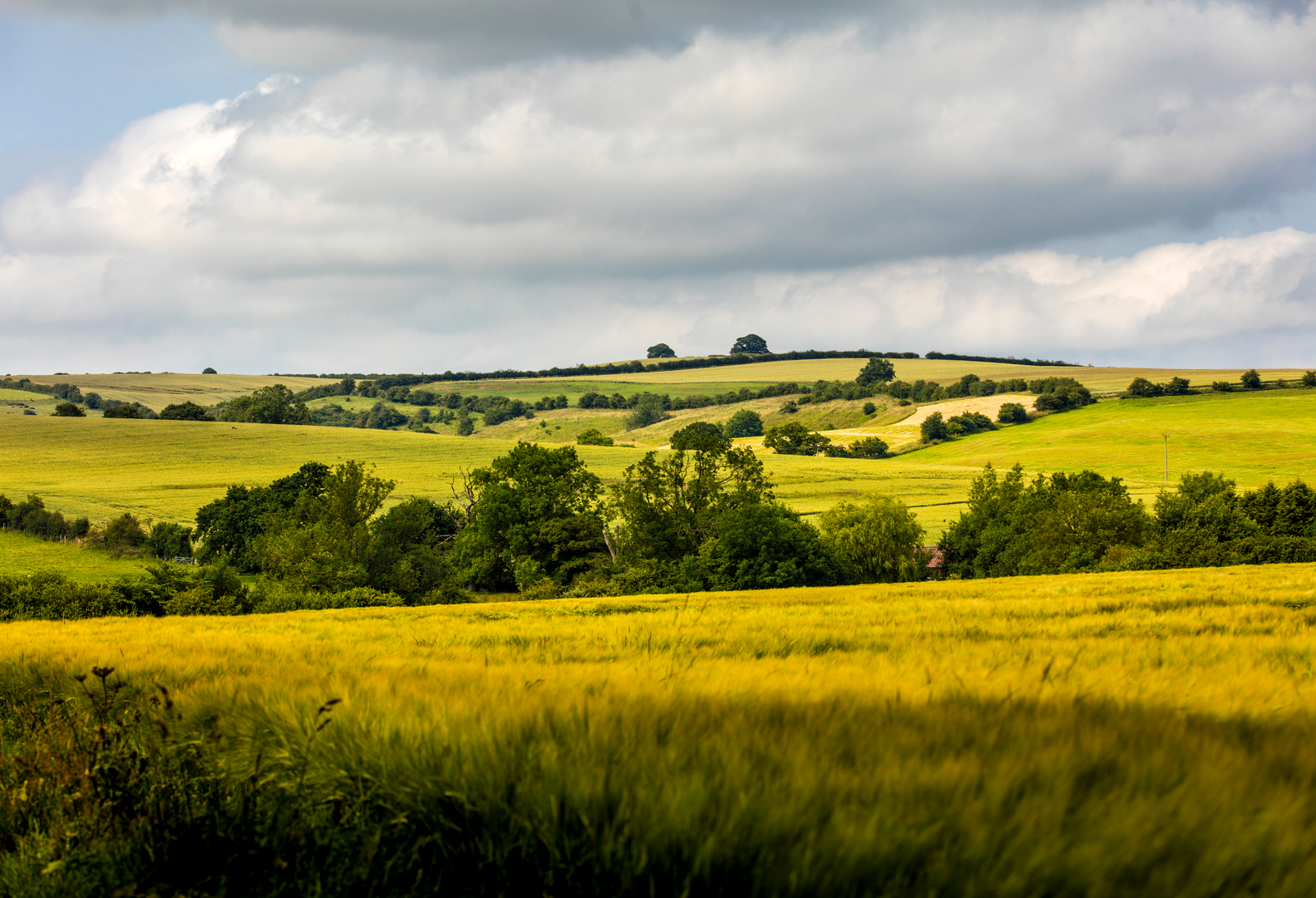 An image depicting the trail Caistor Loop via the Viking Way and its surrounding area.