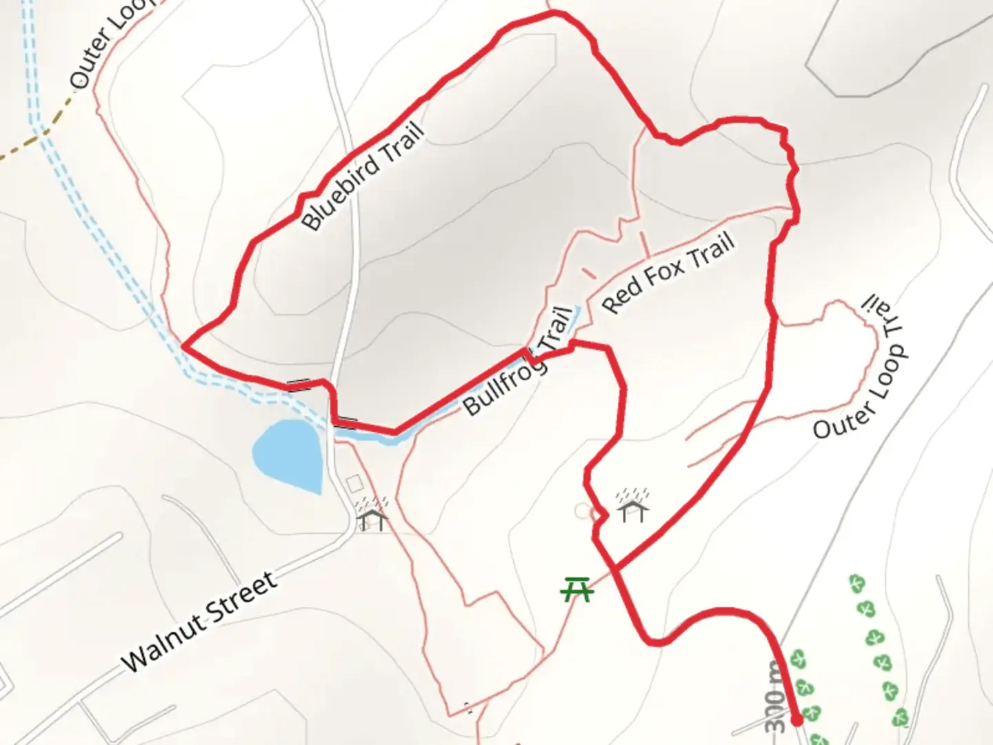 An image depicting the trail Bluebird Loop Trail and its surrounding area.