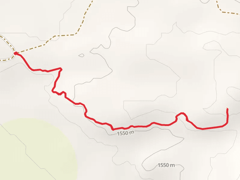 Ute Cal Ranch Road Walk
