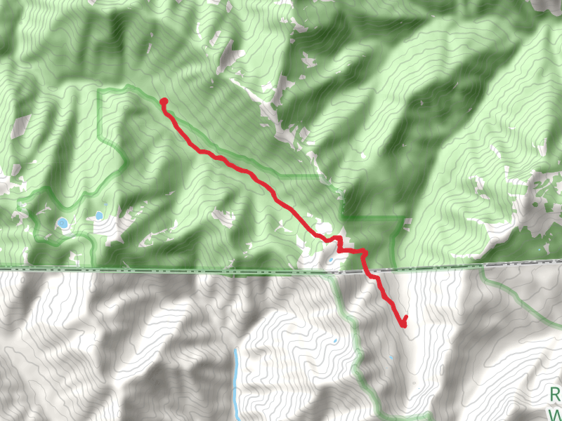 Sucker Creek Trail