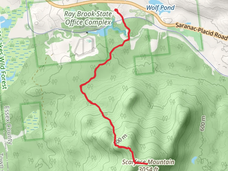 Scarface Mountain Trail