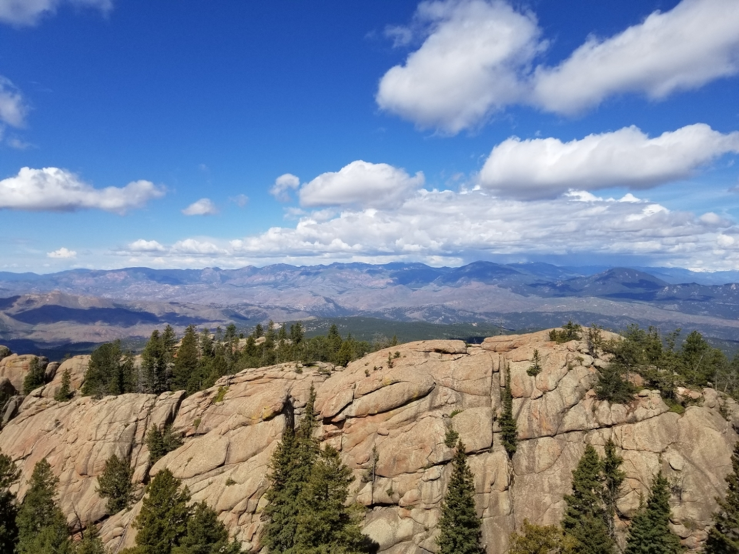 An image depicting the trail Gramps Trail and its surrounding area.